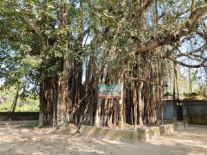 WhatsApp Image 2025-11-23 at 12.17.05_aa364dc4