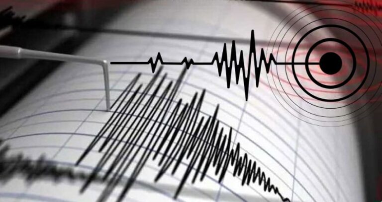 WhatsApp Image 2025-11-23 at 15.35.49_8abaa31d