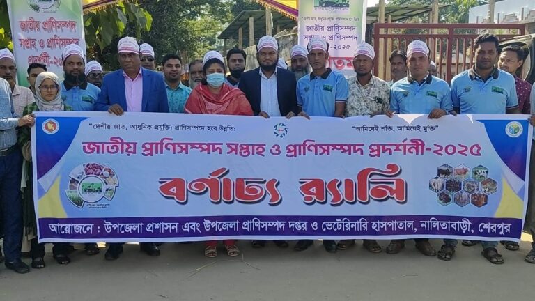 WhatsApp Image 2025-11-26 at 15.41.06_c372e3fe