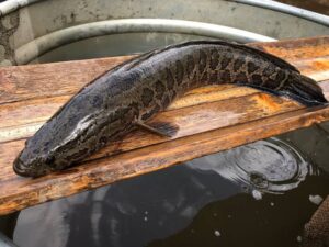 WhatsApp Image 2025-12-06 at 3.45.58 PM