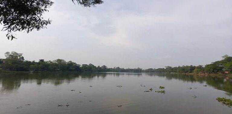 WhatsApp Image 2026-02-14 at 3.31.42 PM