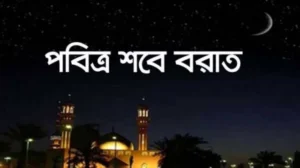 a192546ea6e0ed23f595de9e84ba6b87-69810d9760ef7